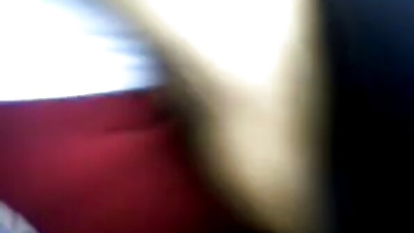 నకిలీ టిట్స్ ఉన్న కోడిపిల్లలు మూడు వైపులా ఆత్మవిశ్వాసాన్ని పంచుకుంటాయి